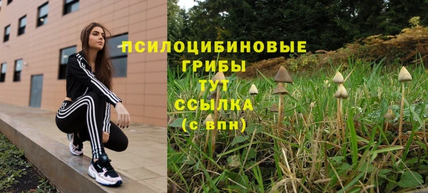 мяу мяу мука Баксан