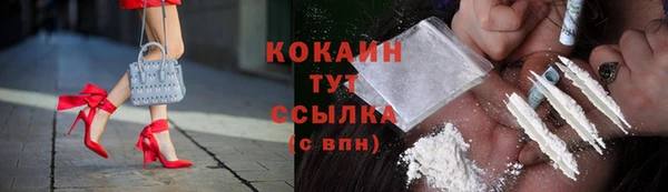 мяу мяу мука Баксан