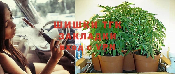 мяу мяу мука Баксан