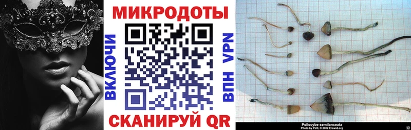 Галлюциногенные грибы GOLDEN TEACHER  Балтийск 